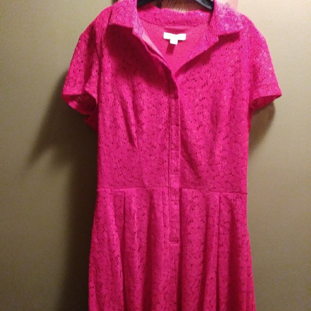 New York & Co lined lace a-line button down dress